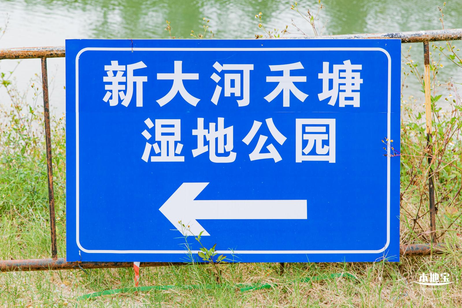 禾塘湿地园粉黛乱子草