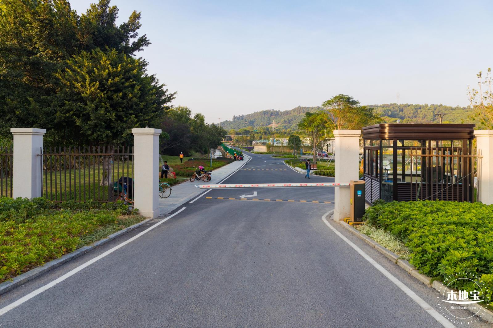 楼村湿地公园