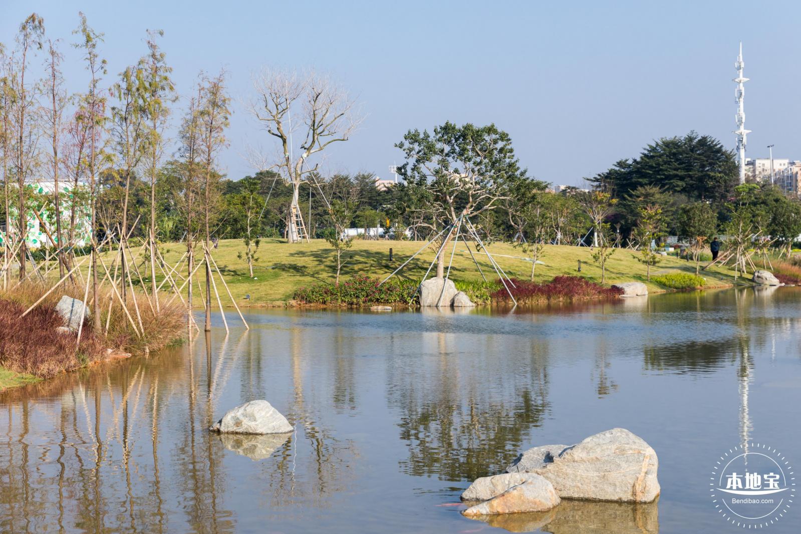 楼村湿地公园
