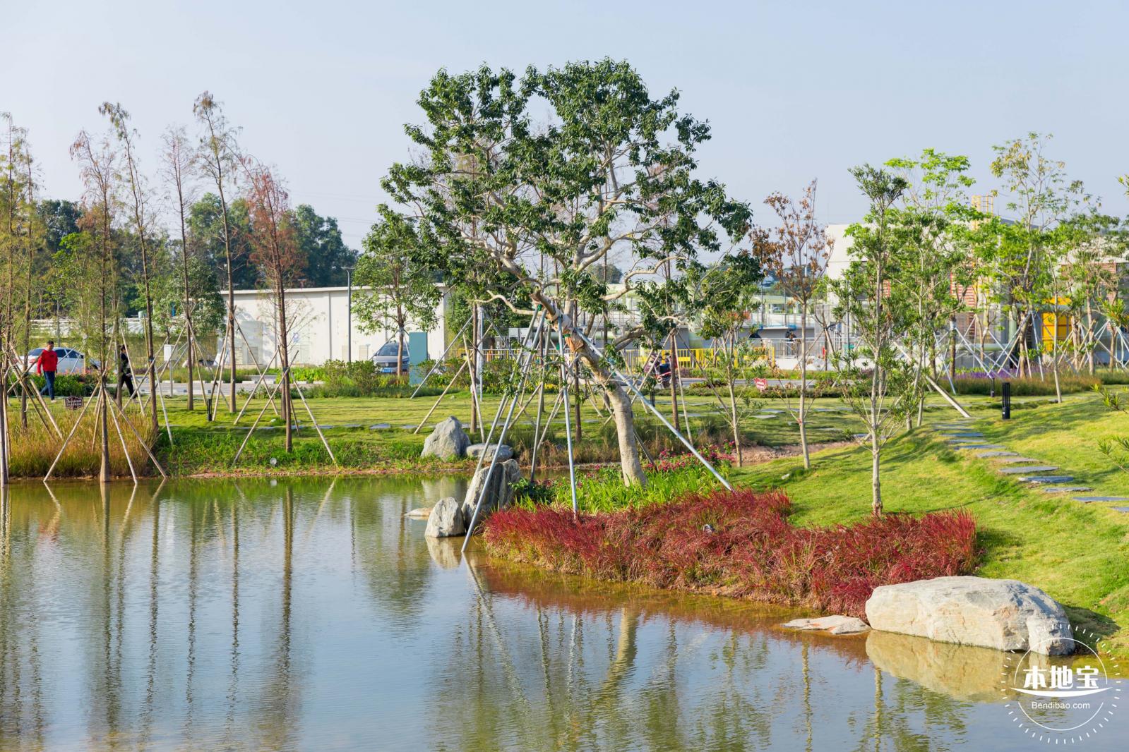 楼村湿地公园