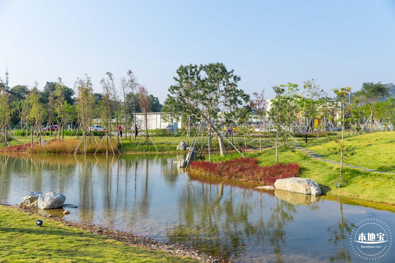 楼村湿地公园