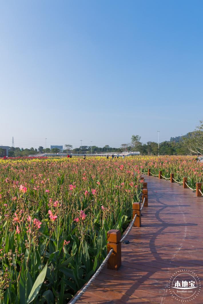 楼村湿地公园