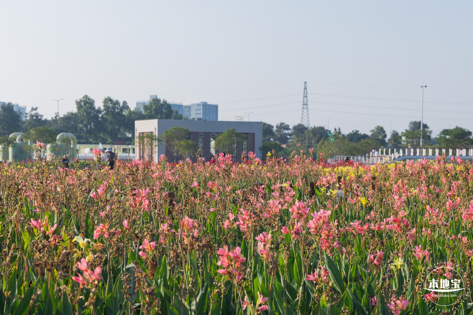 楼村湿地公园