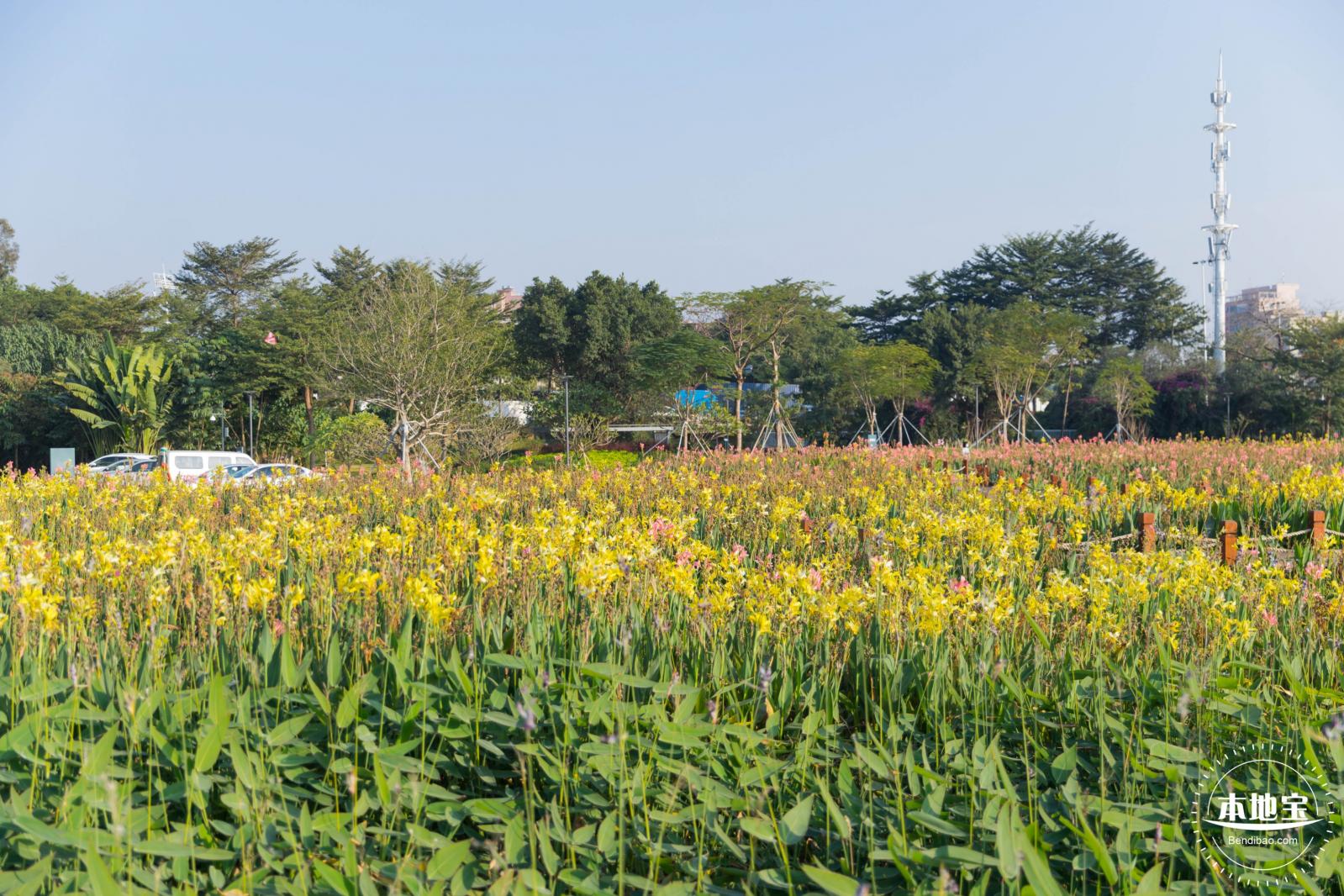 楼村湿地公园