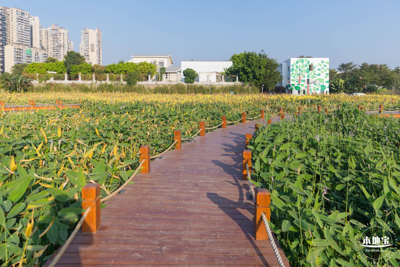 楼村湿地公园