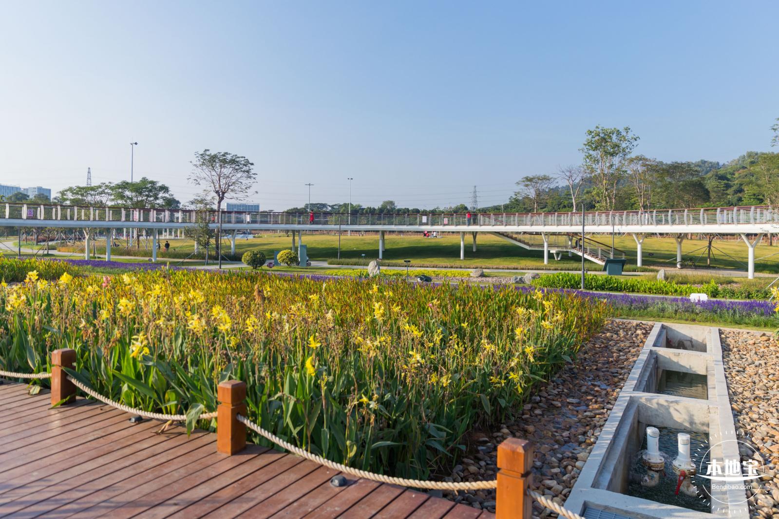 楼村湿地公园