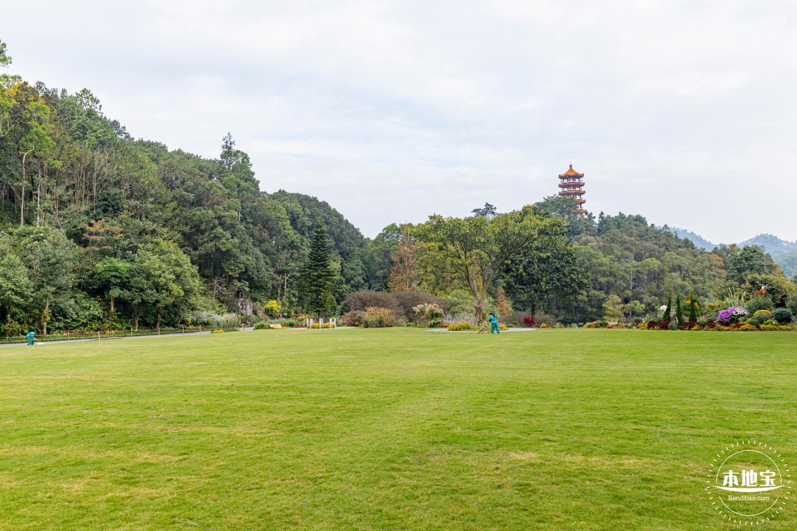 仙湖植物园(蕨类中心+幽溪）