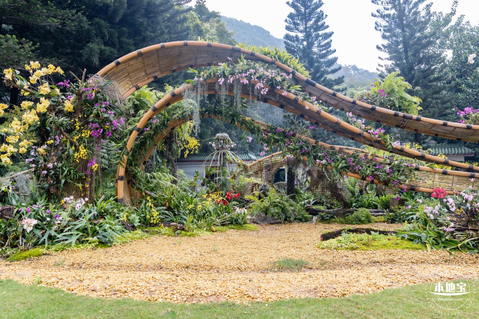 仙湖植物园(蕨类中心+幽溪）