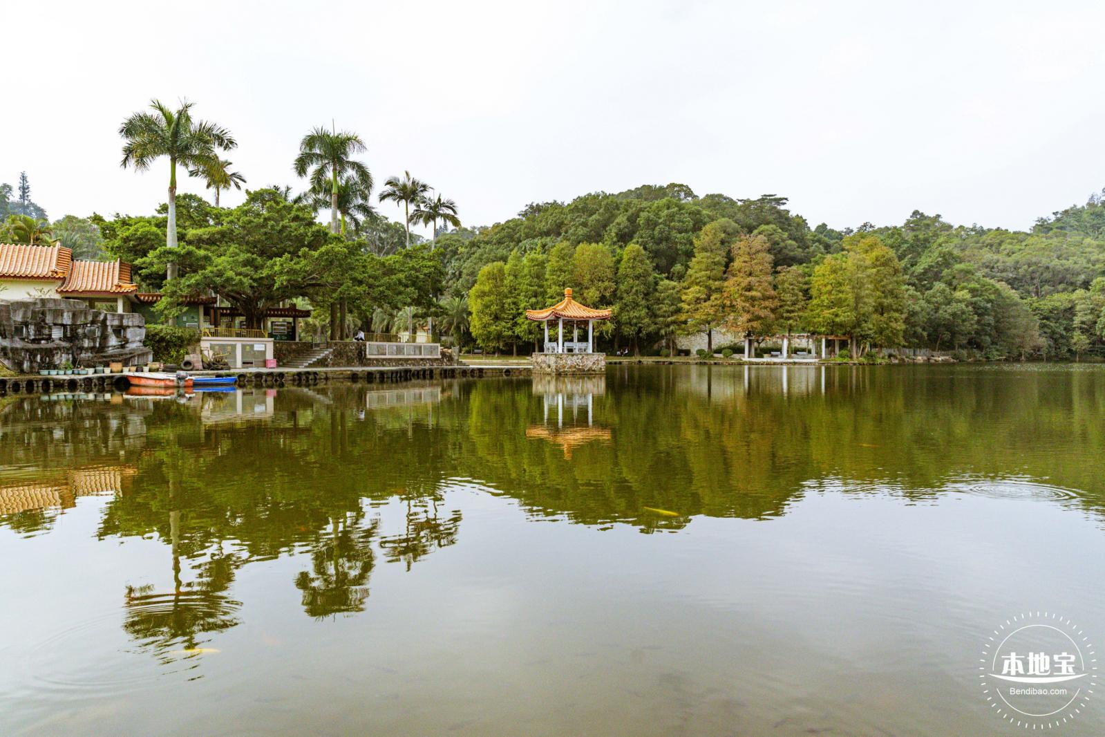 仙湖植物园(蕨类中心+幽溪）
