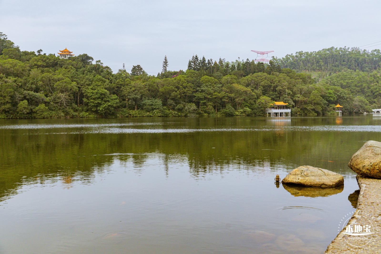 仙湖植物园(蕨类中心+幽溪）