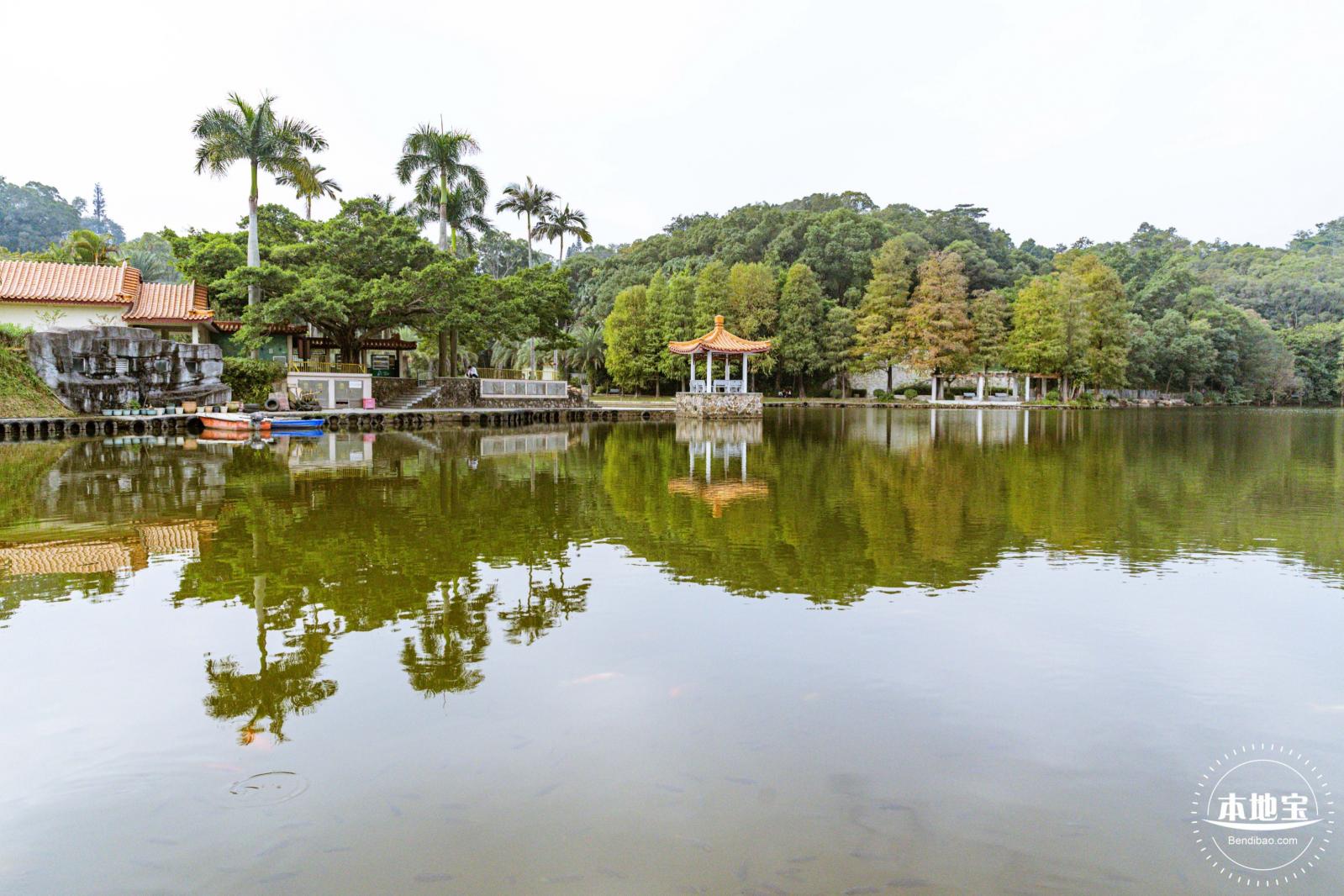 仙湖植物园(蕨类中心+幽溪）