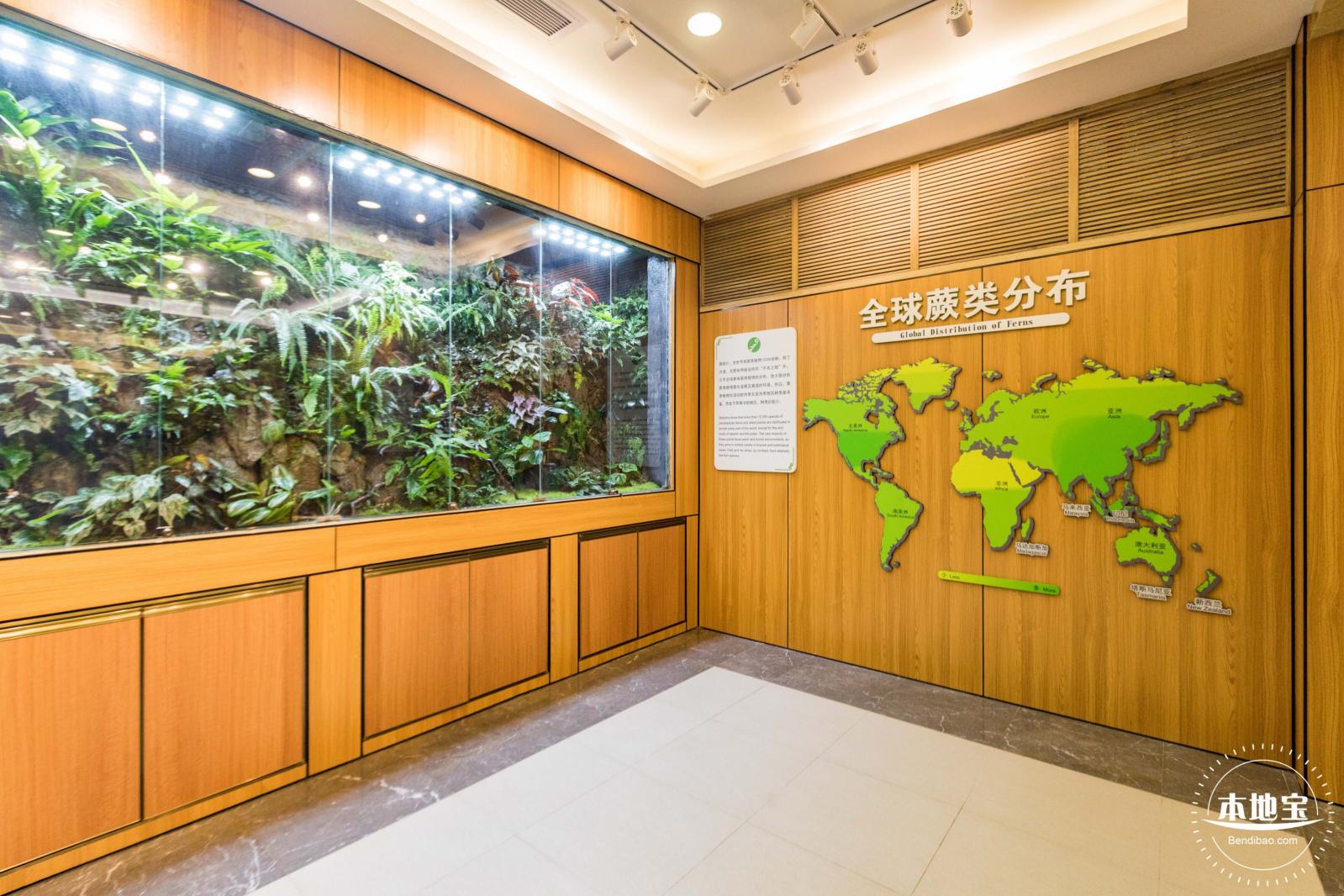仙湖植物园(蕨类中心+幽溪）