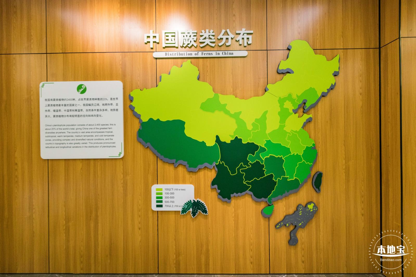 仙湖植物园(蕨类中心+幽溪）