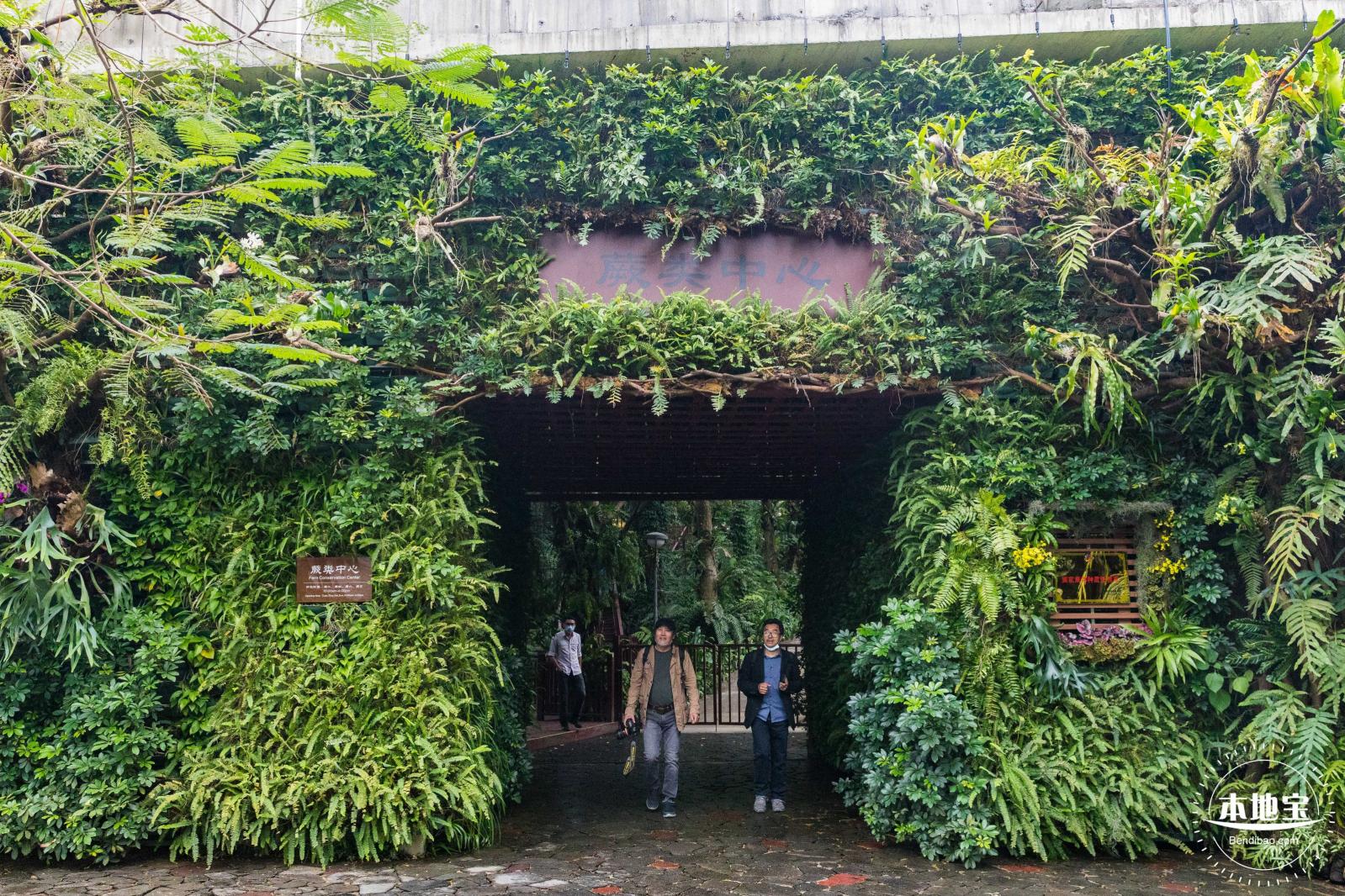仙湖植物园(蕨类中心+幽溪）