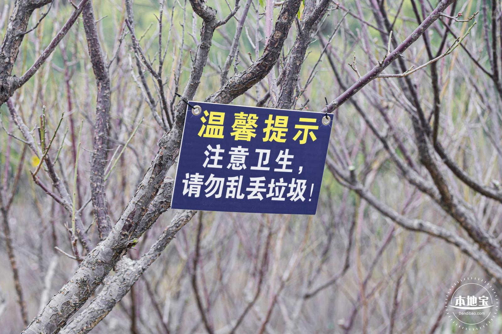 梅园2021