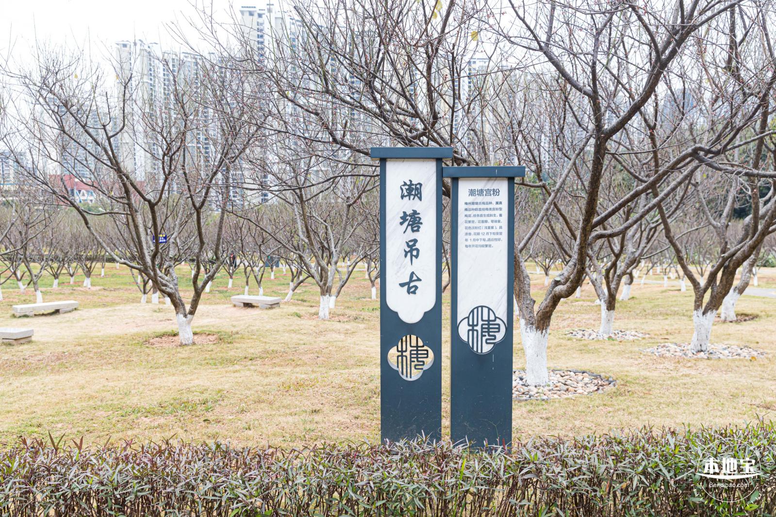 梅园2021