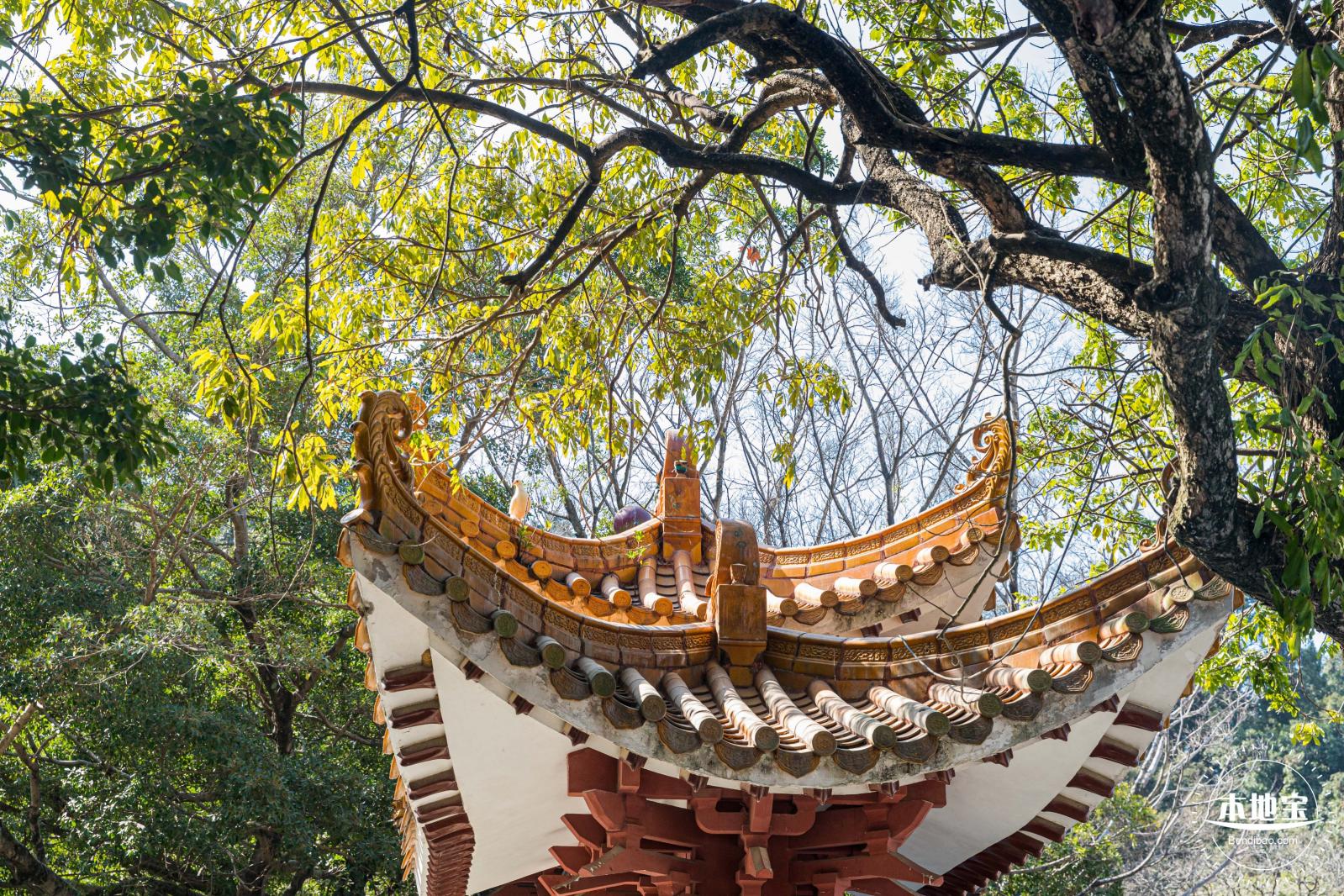 弘法寺