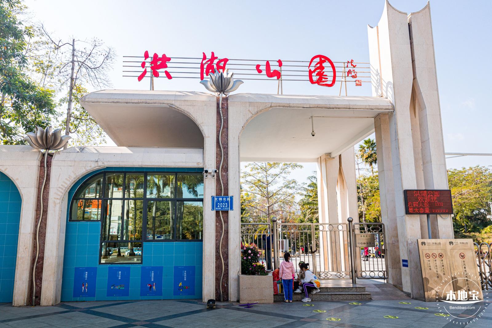 洪湖公园落羽杉