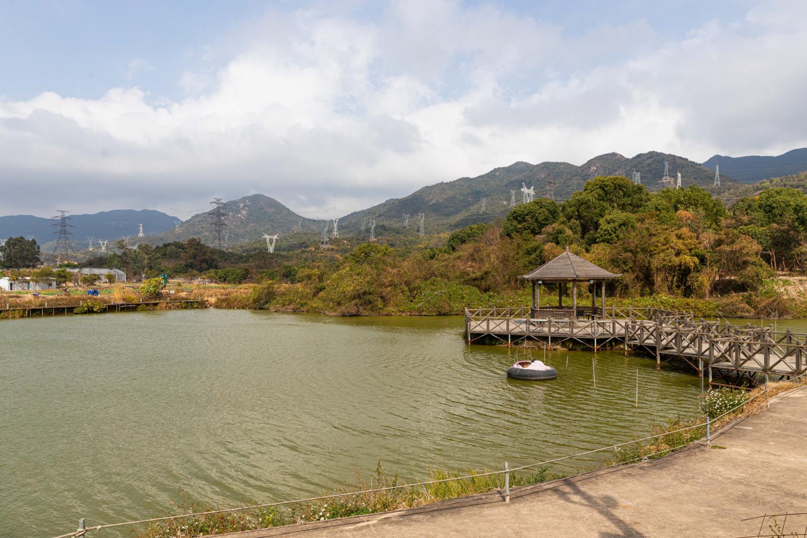 大鹏美丽乡村
