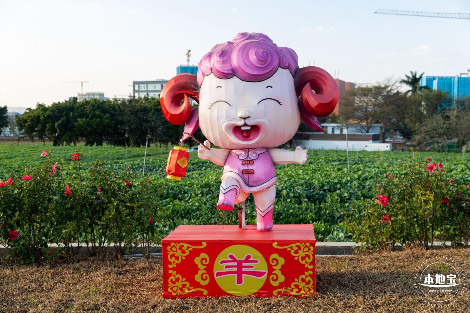 光明欢乐田园油菜花