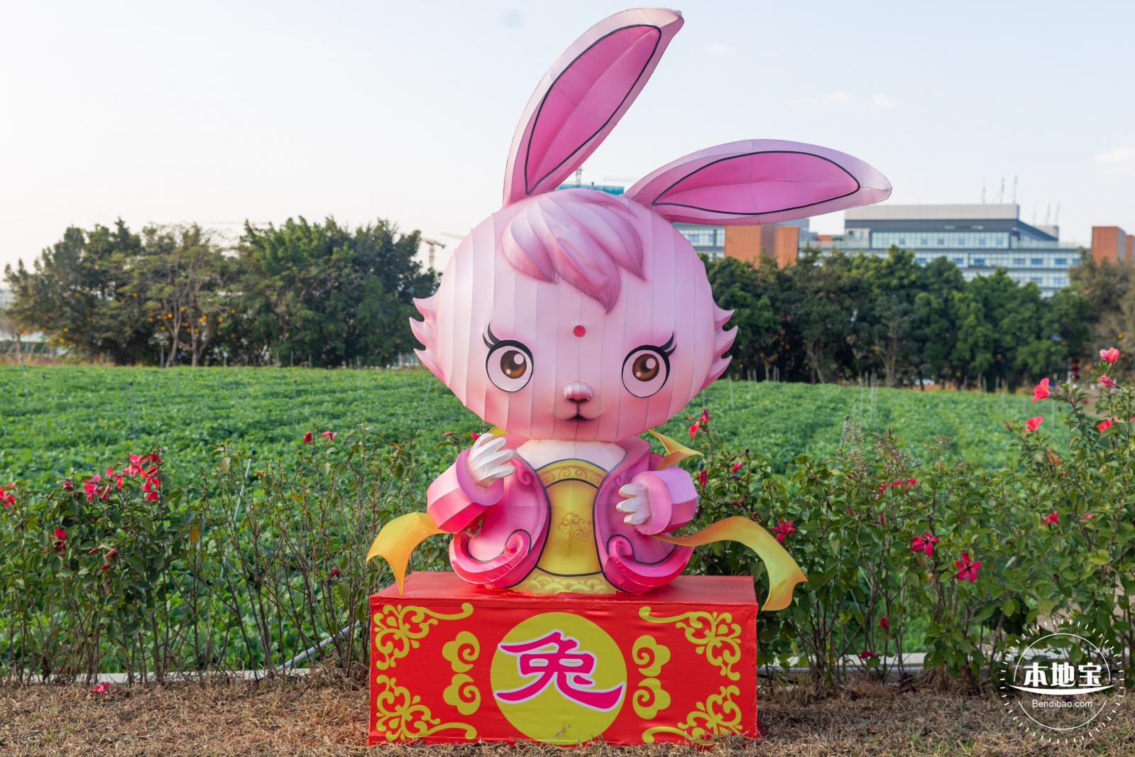 光明欢乐田园油菜花