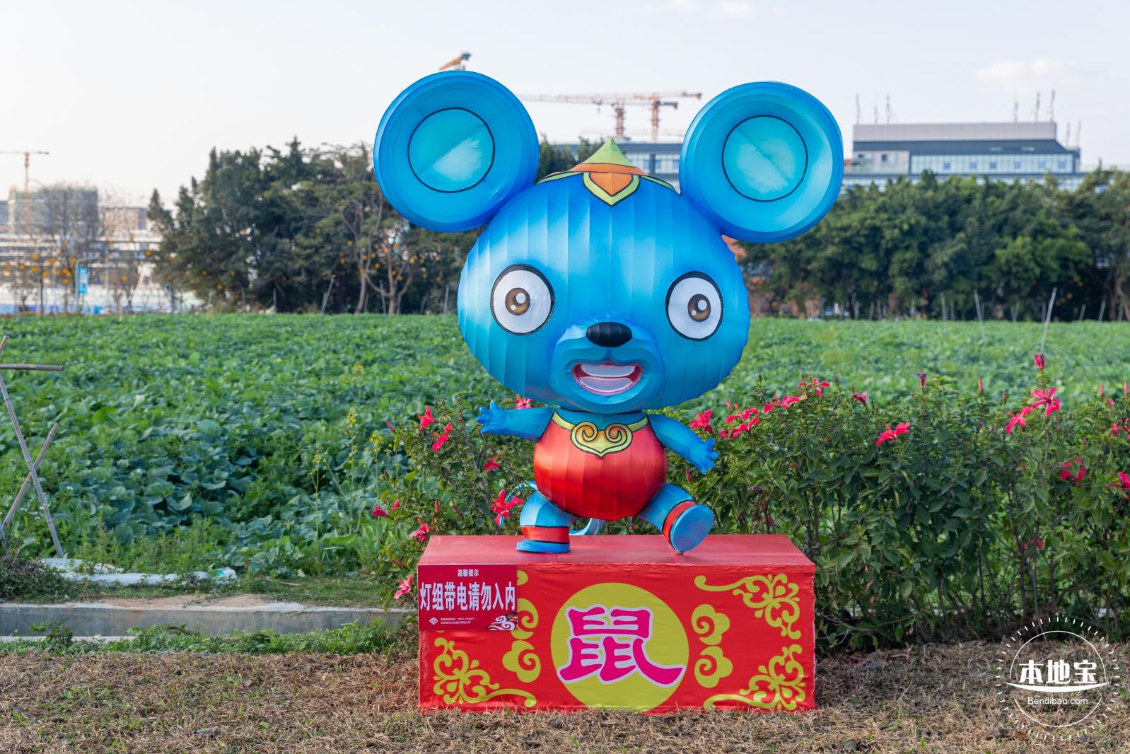 光明欢乐田园油菜花