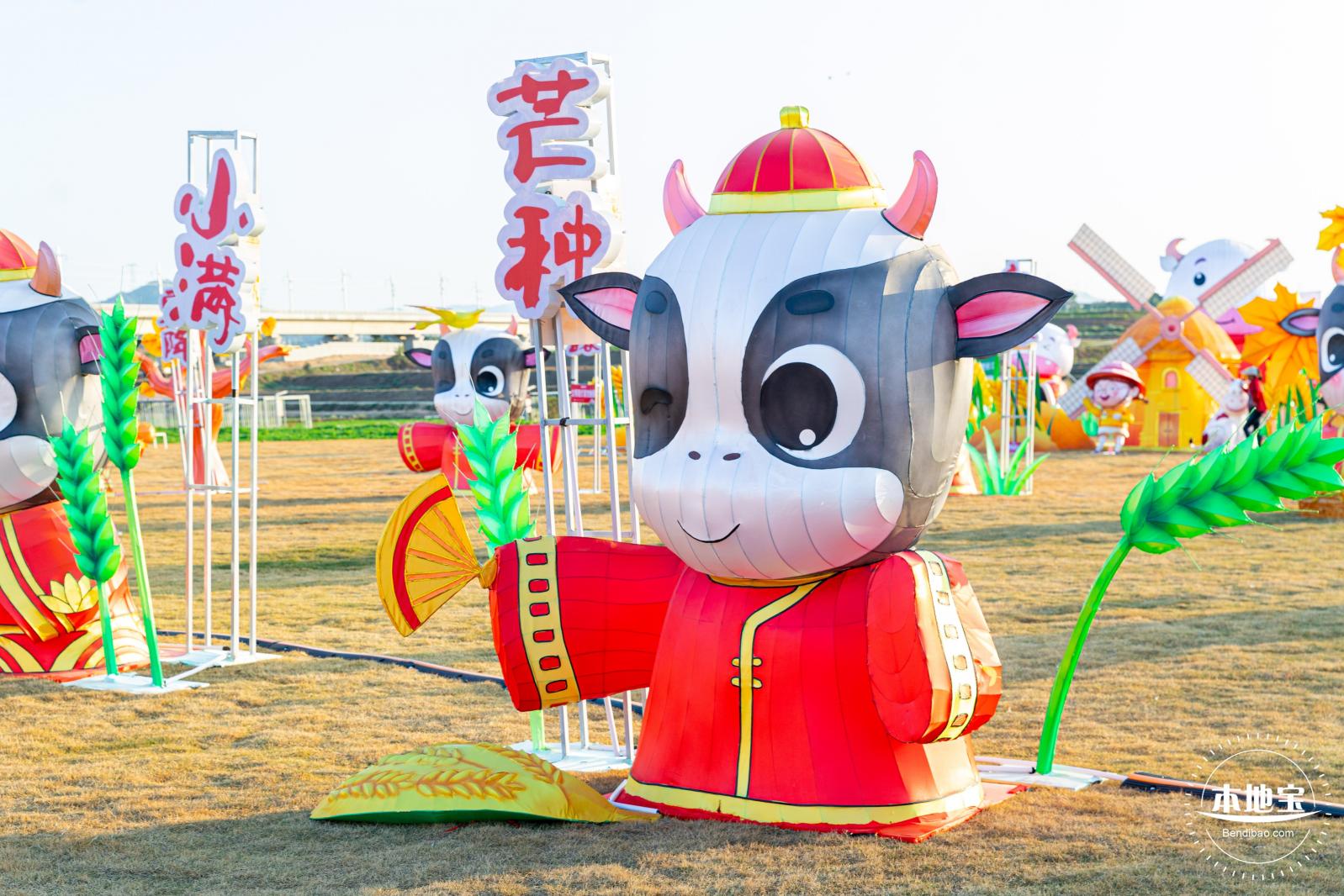 光明欢乐田园油菜花
