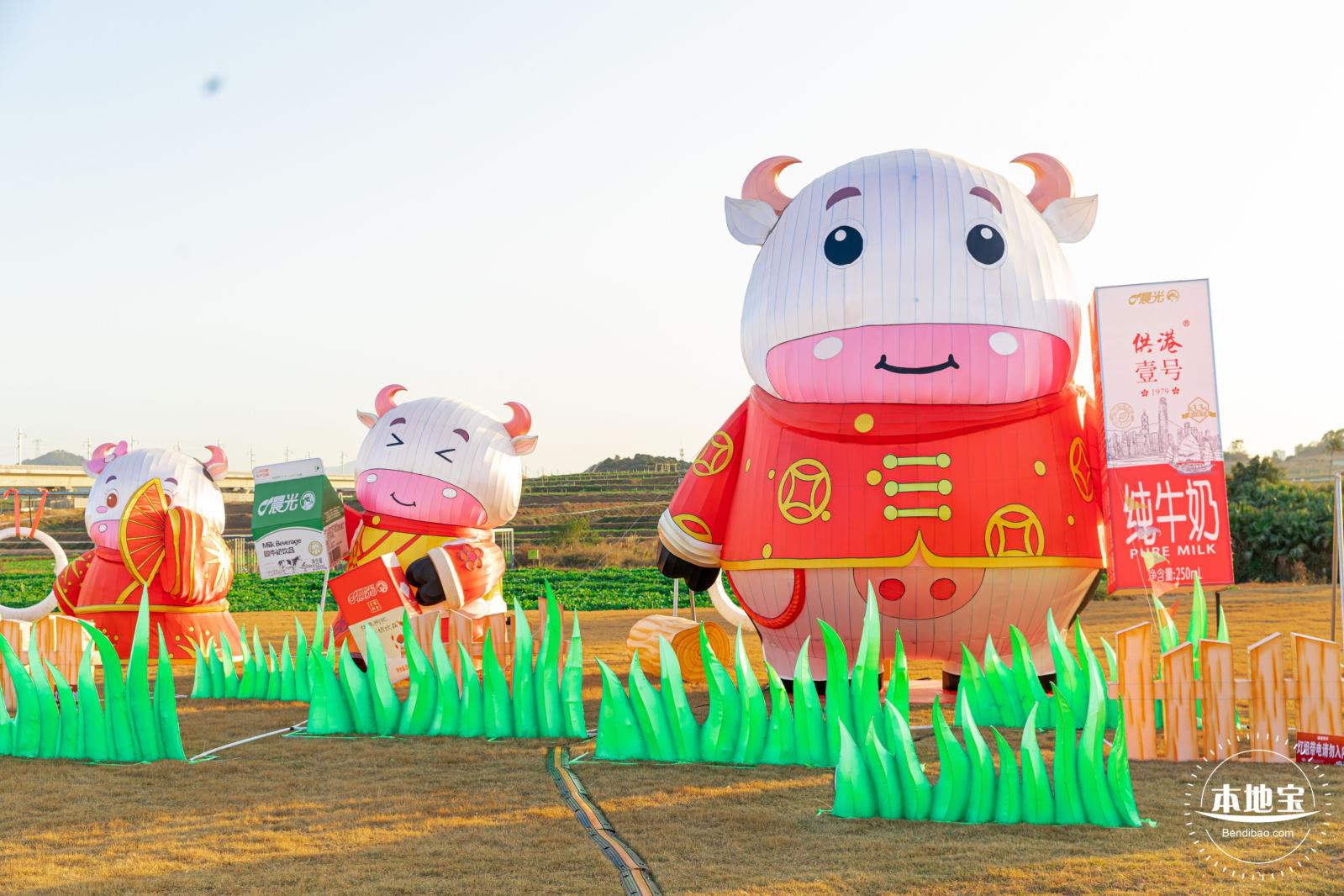 光明欢乐田园油菜花