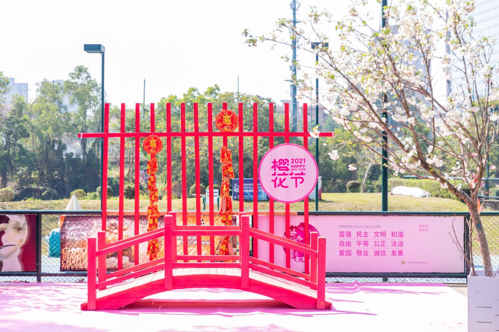 观澜大地生态园樱花