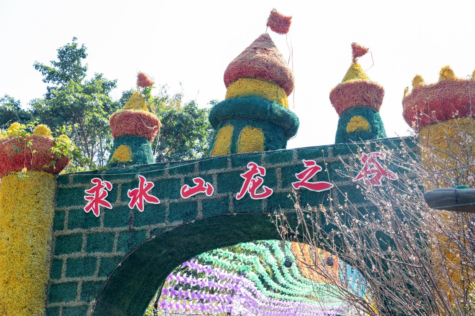 求水山龙之谷樱花