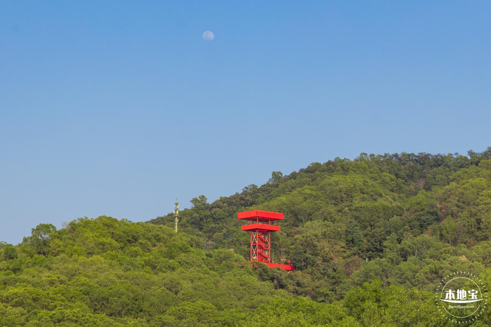 虹桥公园