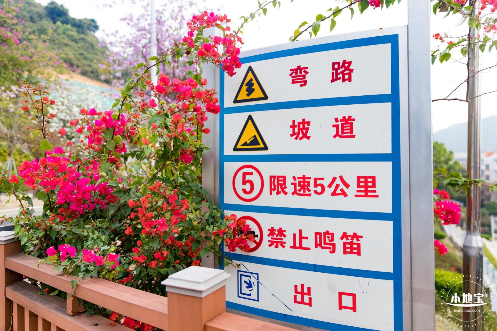 华英路樱花主题公园