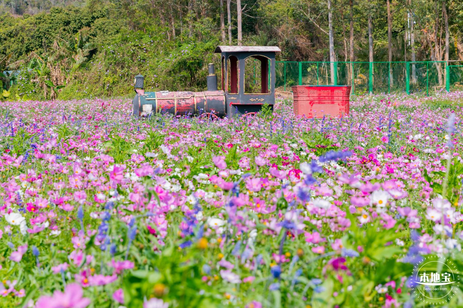 美丽乡村百花节
