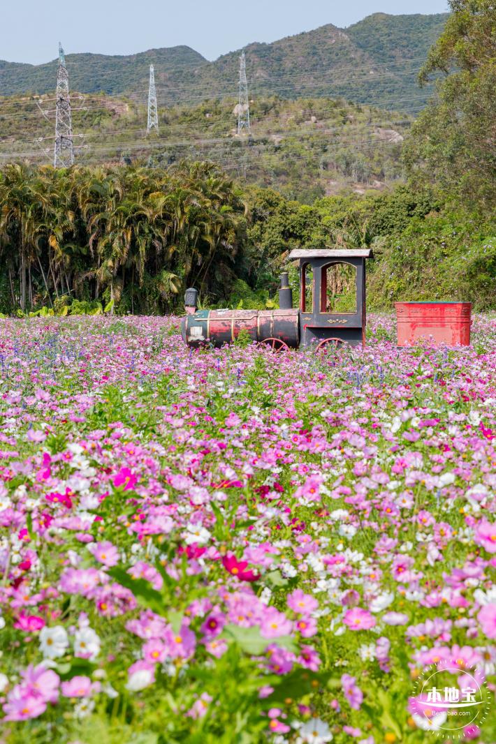美丽乡村百花节
