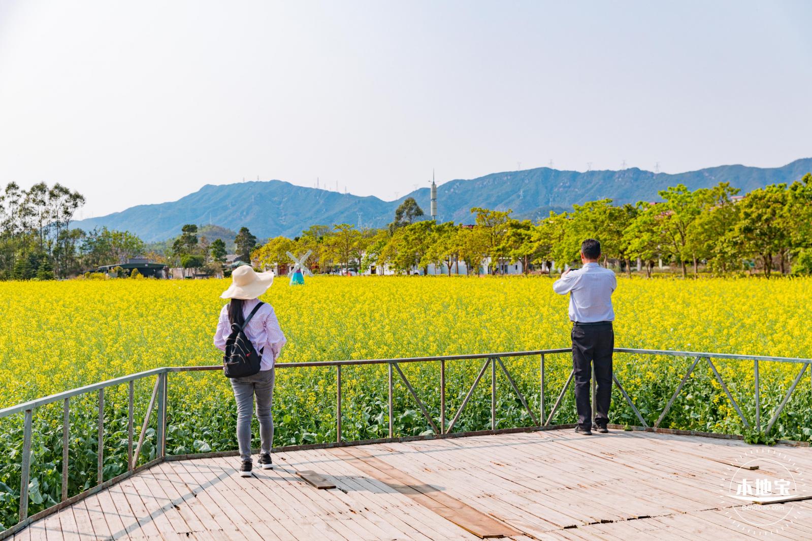 美丽乡村百花节