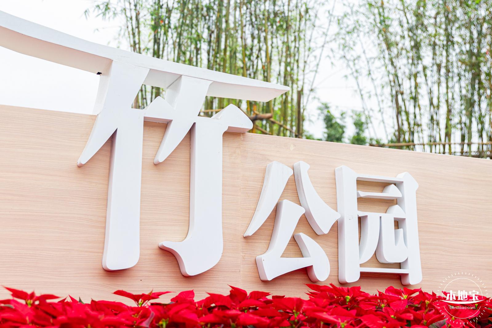 茜坑老村竹公园