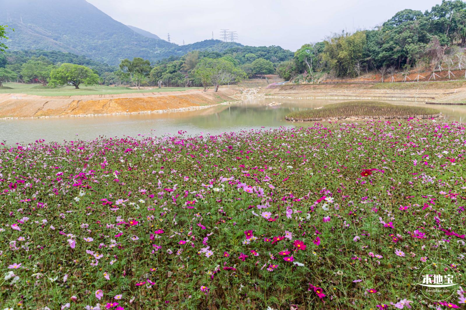 恩上湿地公园