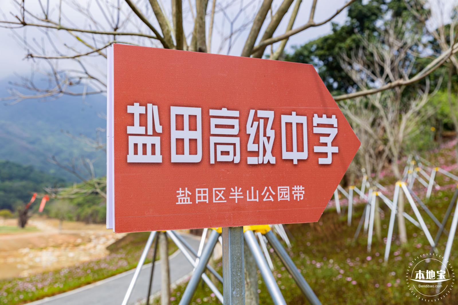 恩上湿地公园