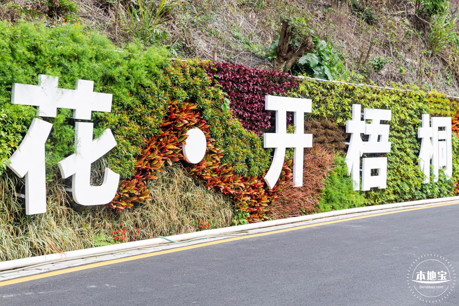 盐田半山公园带