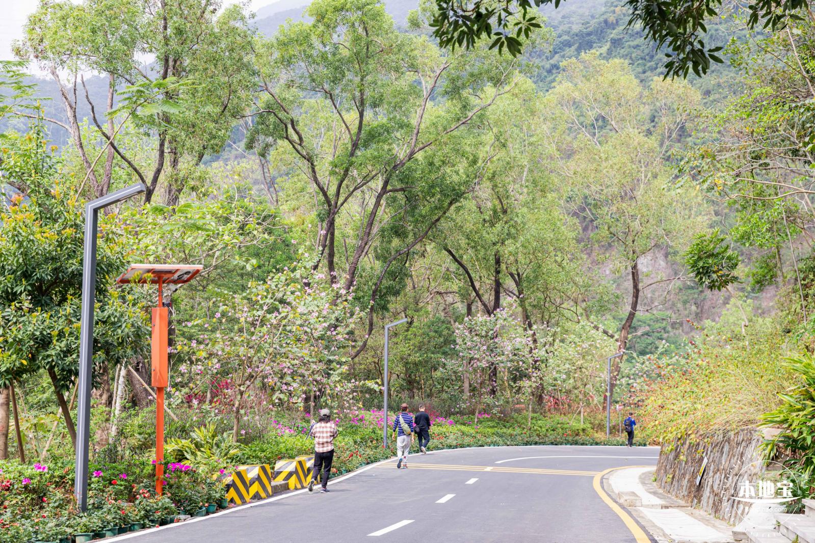盐田半山公园带