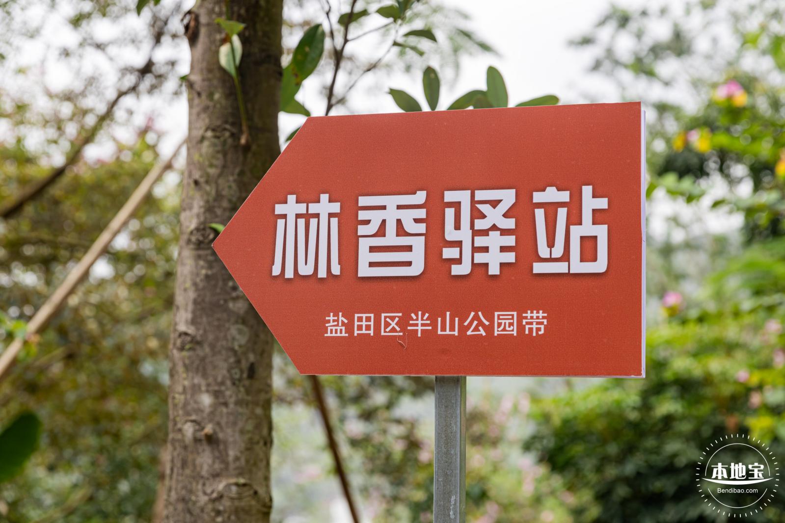 盐田半山公园带
