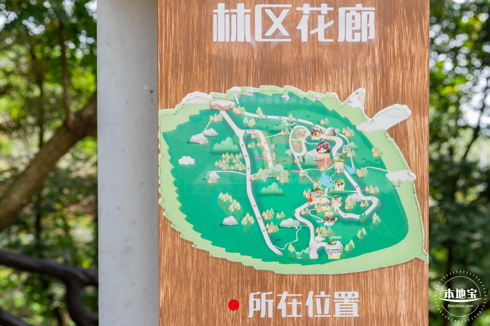 盐田半山公园带
