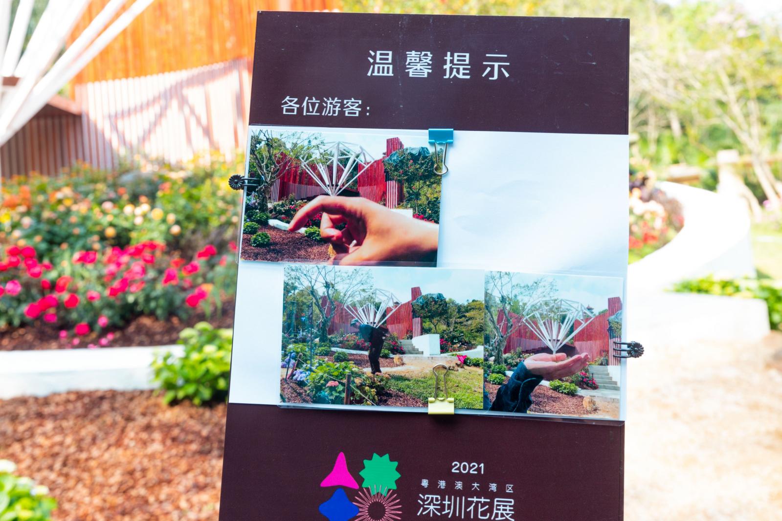 2021粤港澳大湾区深圳花展（仙湖植物园）
