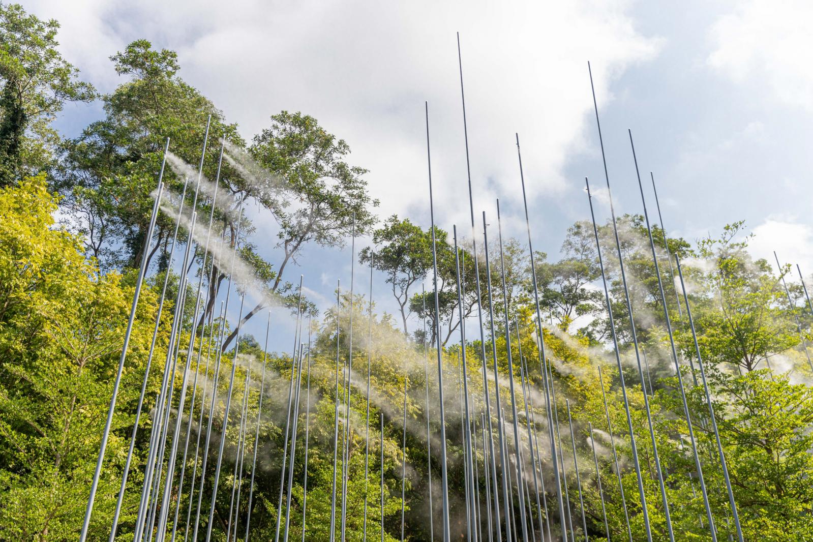 2021粤港澳大湾区深圳花展（仙湖植物园）