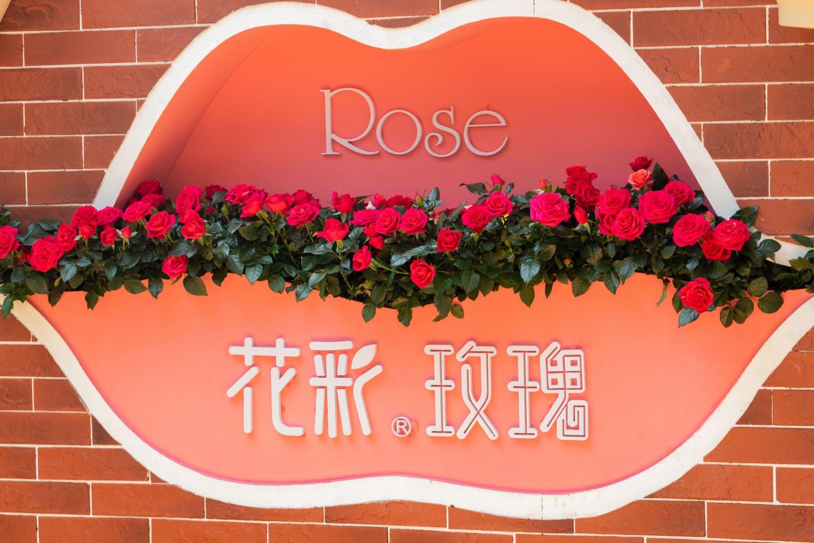 2021粤港澳大湾区深圳花展（仙湖植物园）