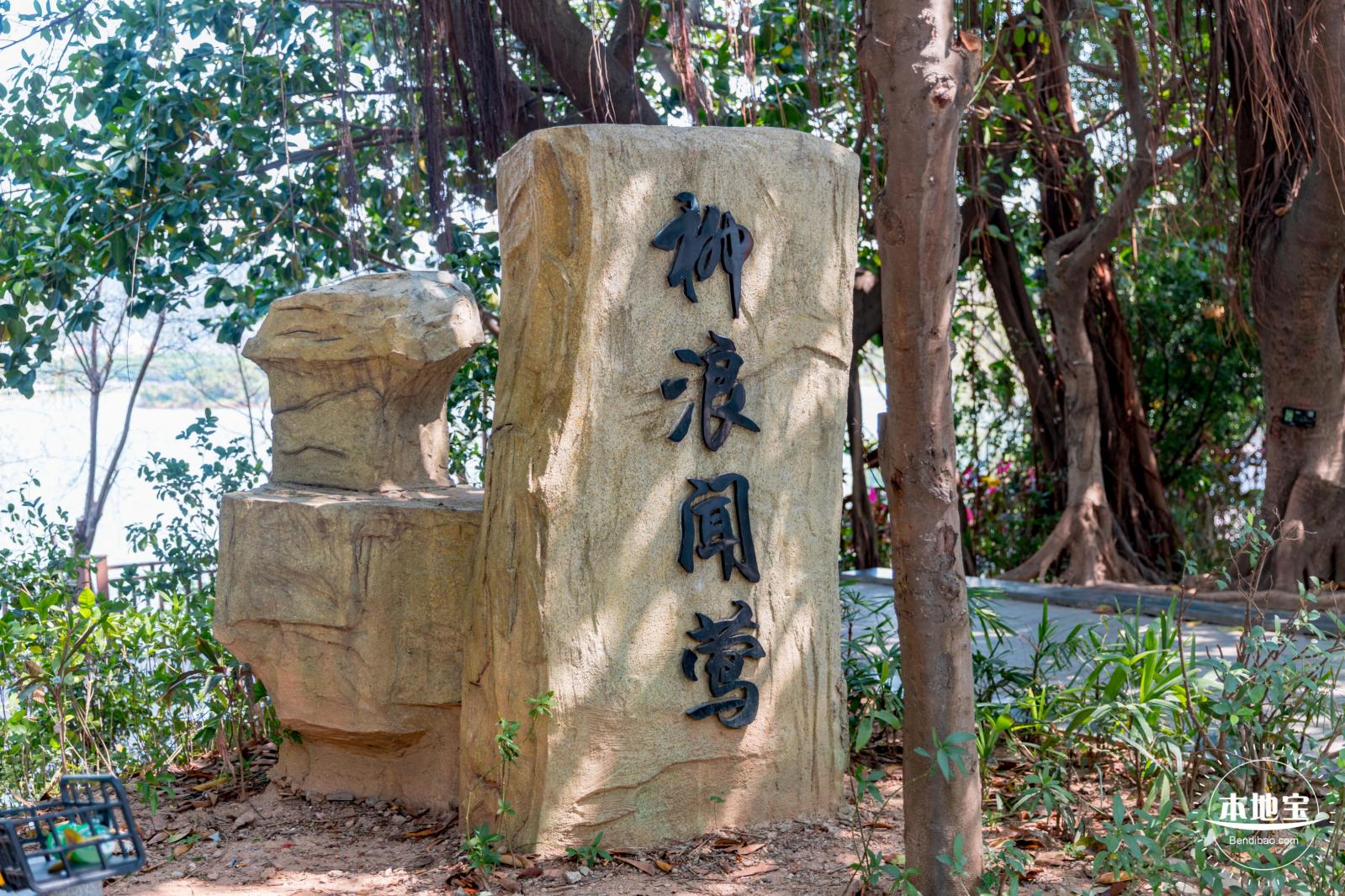立新湖公园月季花海