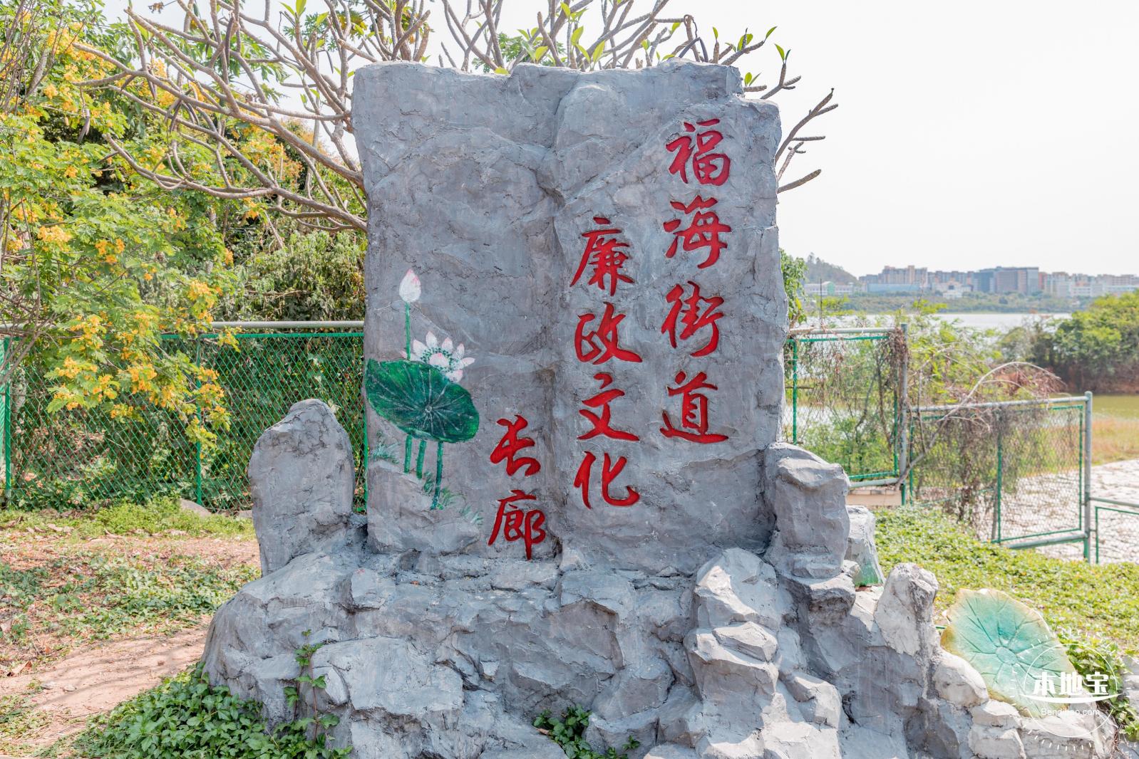 立新湖公园月季花海