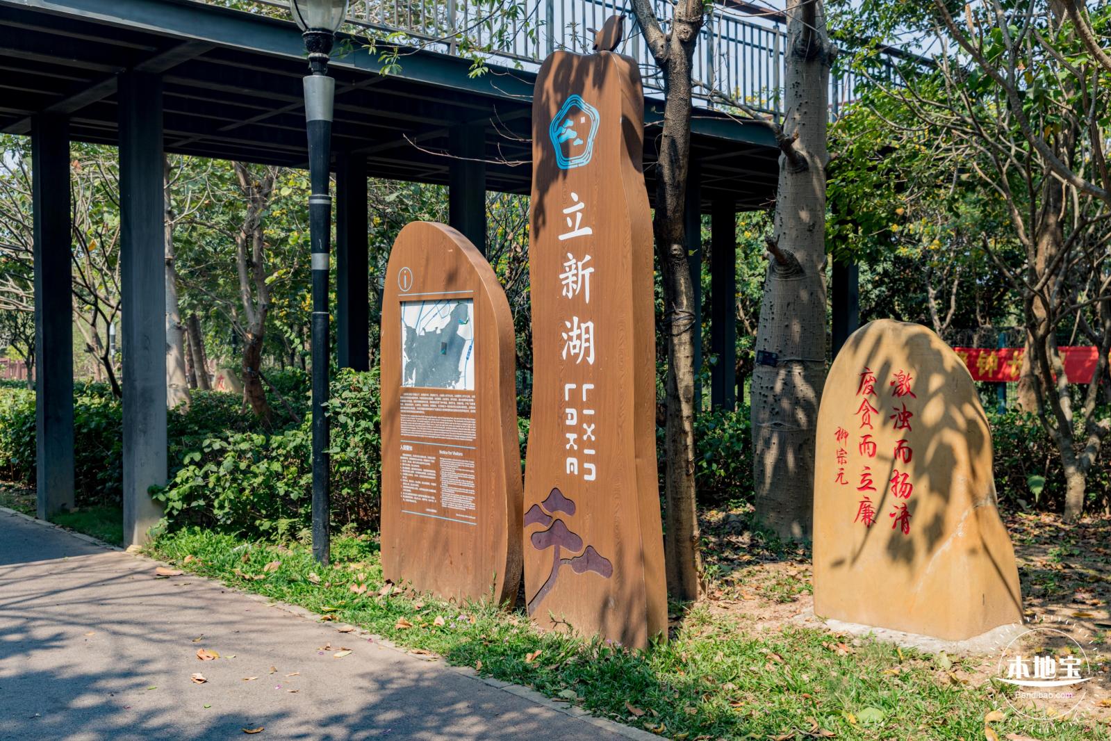 立新湖公园月季花海