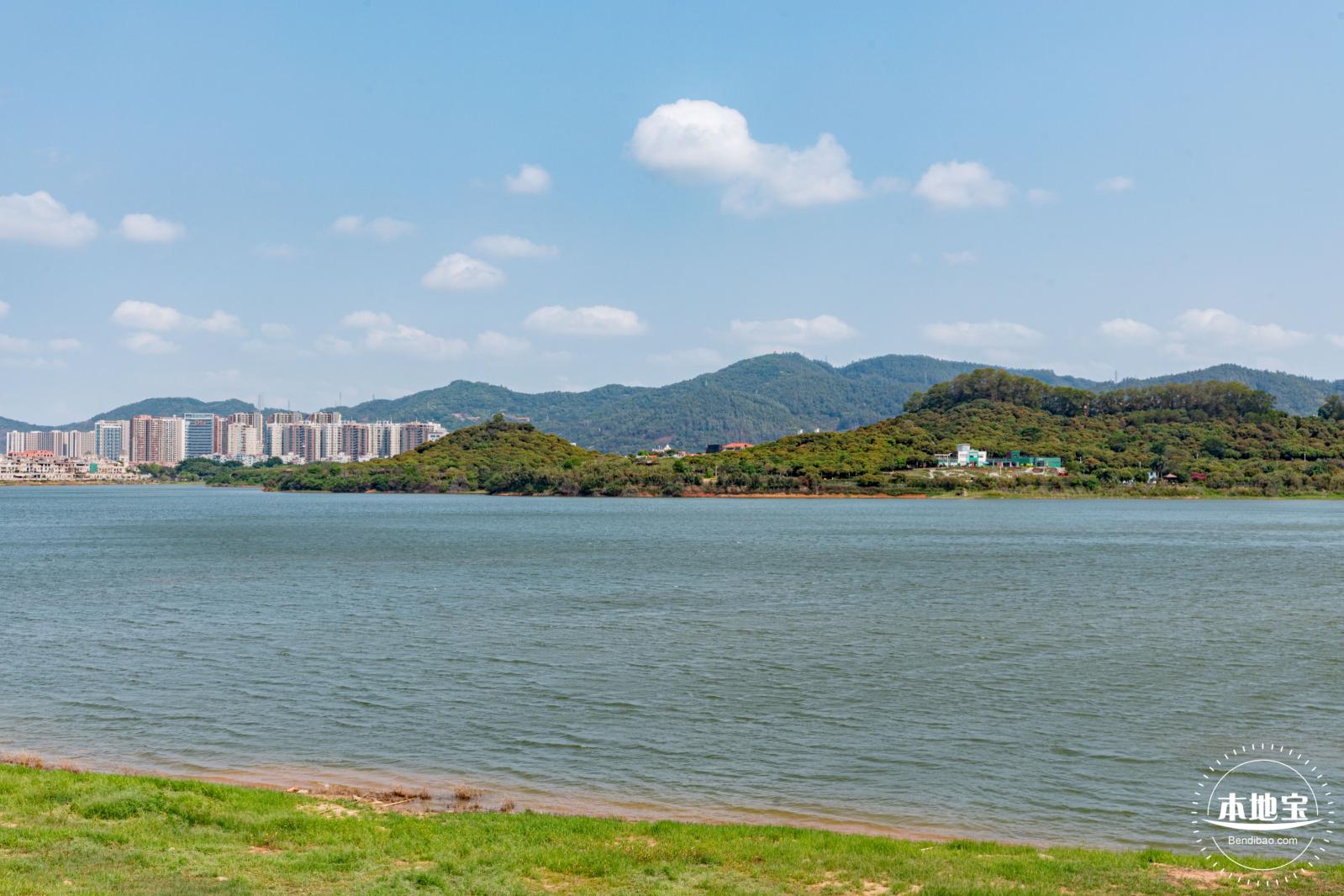 立新湖公园月季花海