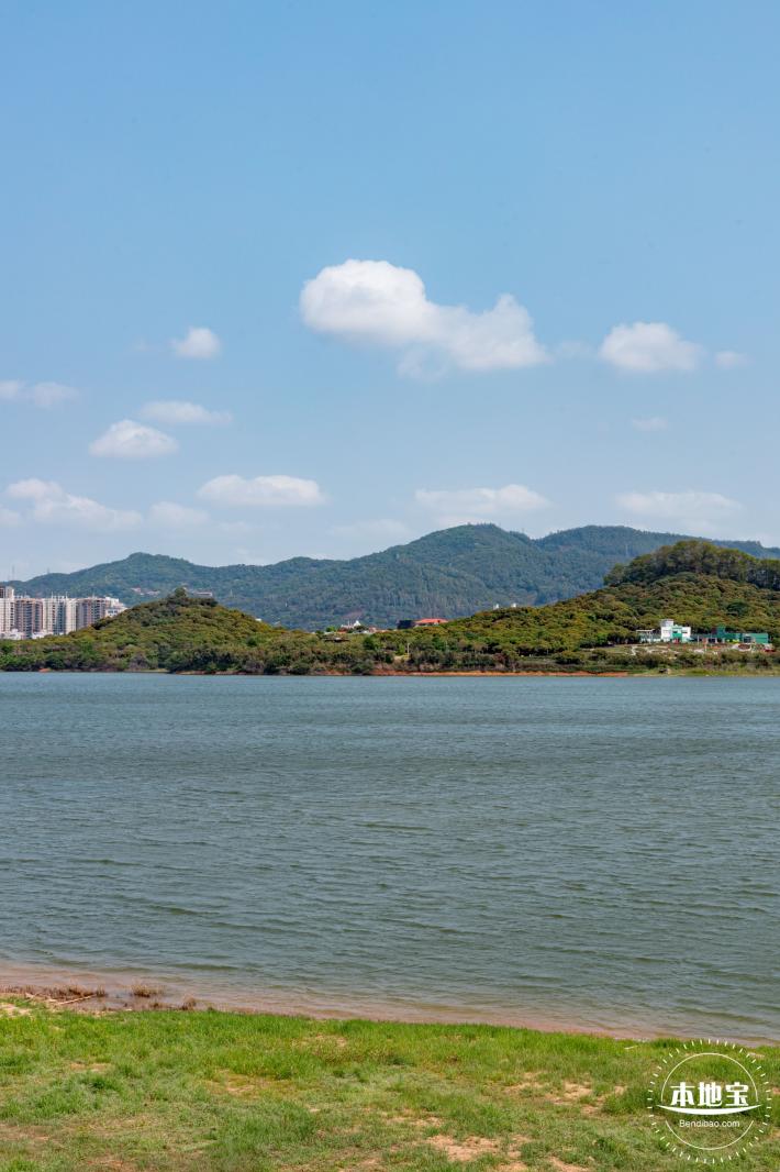 立新湖公园月季花海